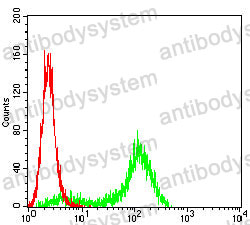 Anti-CD117/KIT Antibody (R3C28)