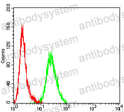 Anti-CD117/KIT Antibody (R3C27)