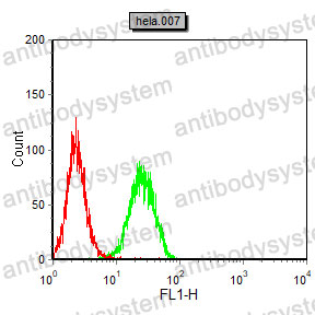 Anti-CD28 Antibody (R3C29)