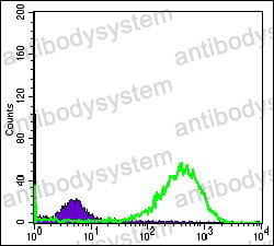 Anti-HSPD1/HSP60 Antibody (R3C33)