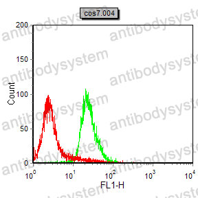 Anti-GRP78/HSPA5 Antibody (R3C36)