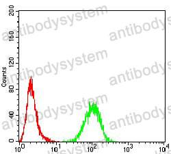 Anti-RALA Antibody (R3C51)