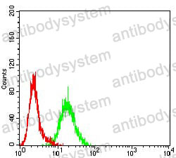 Anti-BCR Antibody (R3C54)