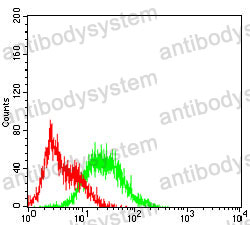Anti-CD107a/LAMP1 Antibody (R3C55)