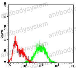 Anti-CD107a/LAMP1 Antibody (R3C56)
