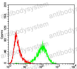 Anti-ACADM Antibody (R3C57)