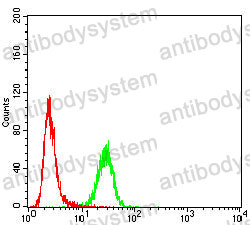 Anti-TOP1 Antibody (R3C59)