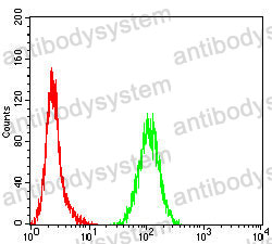 Anti-TOP2A Antibody (R3C61)