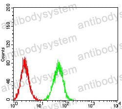 Anti-ESRRA Antibody (R3C65)