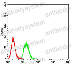 Anti-ESRRA Antibody (R3C66)
