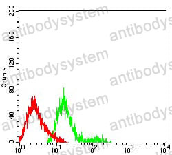 Anti-CD222/IGF2R Antibody (R3C68)