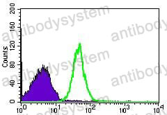 Anti-CDK4 Antibody (R3C69)