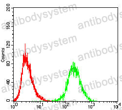 Anti-CDK4 Antibody (R3C70)