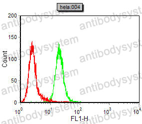 Anti-CDK4 Antibody (R3C71)