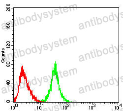 Anti-CD79α/CD79A Antibody (R3C74)