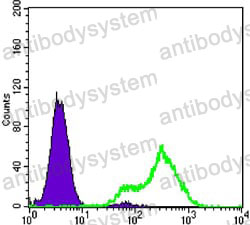 Anti-FABP2 Antibody (R3C85)