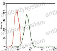 Anti-FCER1A Antibody (R3C88)