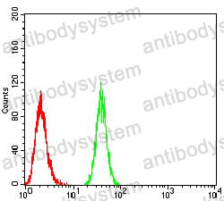 Anti-BMP2 Antibody (R3C91)