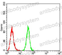 Anti-BMP2 Antibody (R3C92)