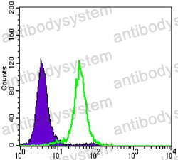 Anti-CD324/CDH1 Antibody (R3C96)
