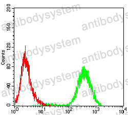 Anti-CD324/CDH1 Antibody (R3C99)