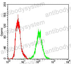 Anti-XRCC6 Antibody (R3D06)