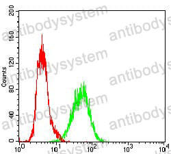 Anti-XRCC6 Antibody (R3D07)