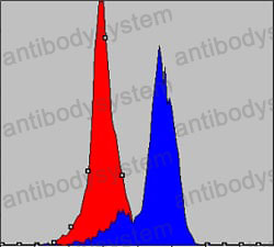 Anti-COX4/COX4I1 Antibody (R3D10)