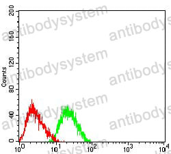 Anti-CD107b/LAMP2 Antibody (R3D12)