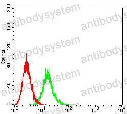 Anti-CD107b/LAMP2 Antibody (R3D13)