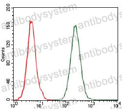 Anti-CCL2/MCP-1 Antibody (R3D14)
