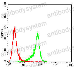 Anti-CD56/NCAM1 Antibody (R3D16)