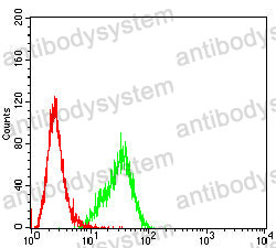 Anti-CD56/NCAM1 Antibody (R3D17)