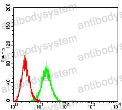 Anti-CD102/ICAM2 Antibody (R3D18)