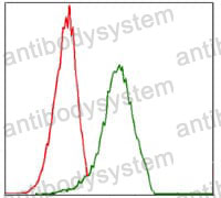 Anti-CD49d/ITGA4 Antibody (R3D20)