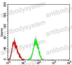 Anti-KRT5 Antibody (R3D40)