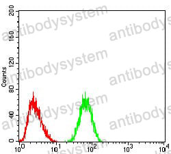 Anti-KRT5 Antibody (R3D39)
