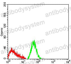 Anti-CD66a/CEACAM1 Antibody (R3D44)
