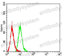 Anti-CD66a/CEACAM1 Antibody (R3D43)