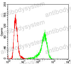Anti-ETFA Antibody (R3D47)
