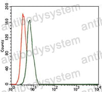 Anti-CD59 Antibody (R3D49)