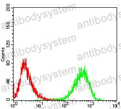 Anti-CD99 Antibody (R3D55)