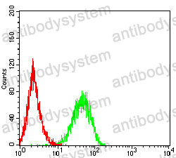 Anti-PRF1 Antibody (R3D58)