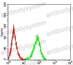 Anti-PRF1 Antibody (R3D57)