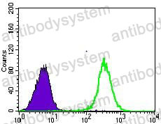 Anti-GLUT4/SLC2A4 Antibody (R3D64)