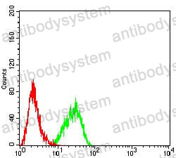 Anti-CD122/IL2RB Antibody (R3D71)