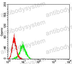 Anti-CD122/IL2RB Antibody (R3D72)