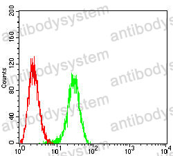 Anti-BRAF/B-Raf Antibody (R3D81)