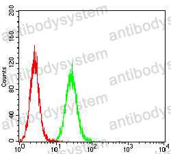 Anti-GLUL Antibody (R3D83)