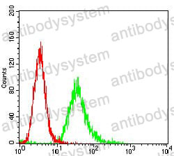 Anti-CD13/ANPEP/APN Antibody (R3D87)